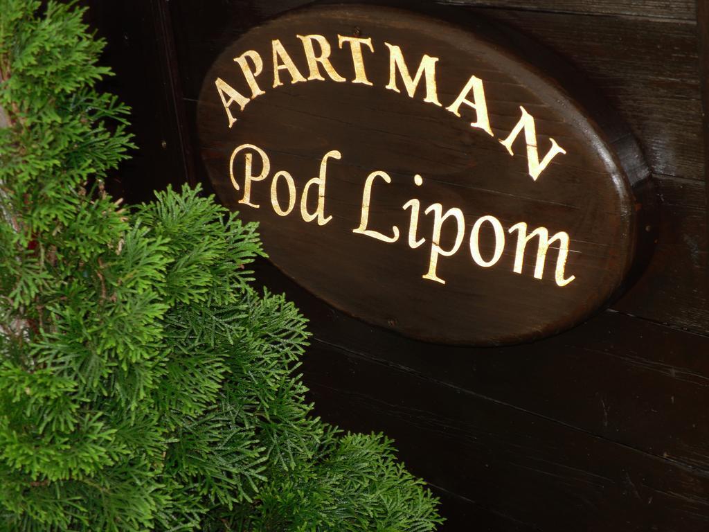 Apartment Pod Lipom Roč Habitación foto